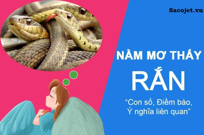 Mơ thấy rắn đánh con bao nhiêu